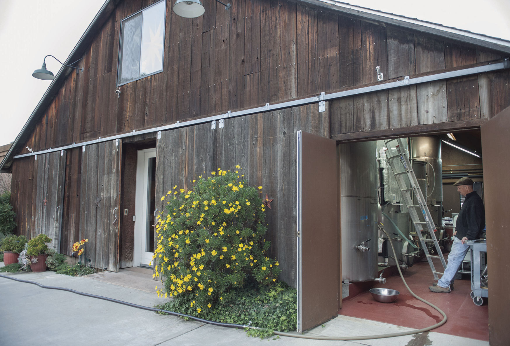 A Year in the Life of a Winery: Part 3